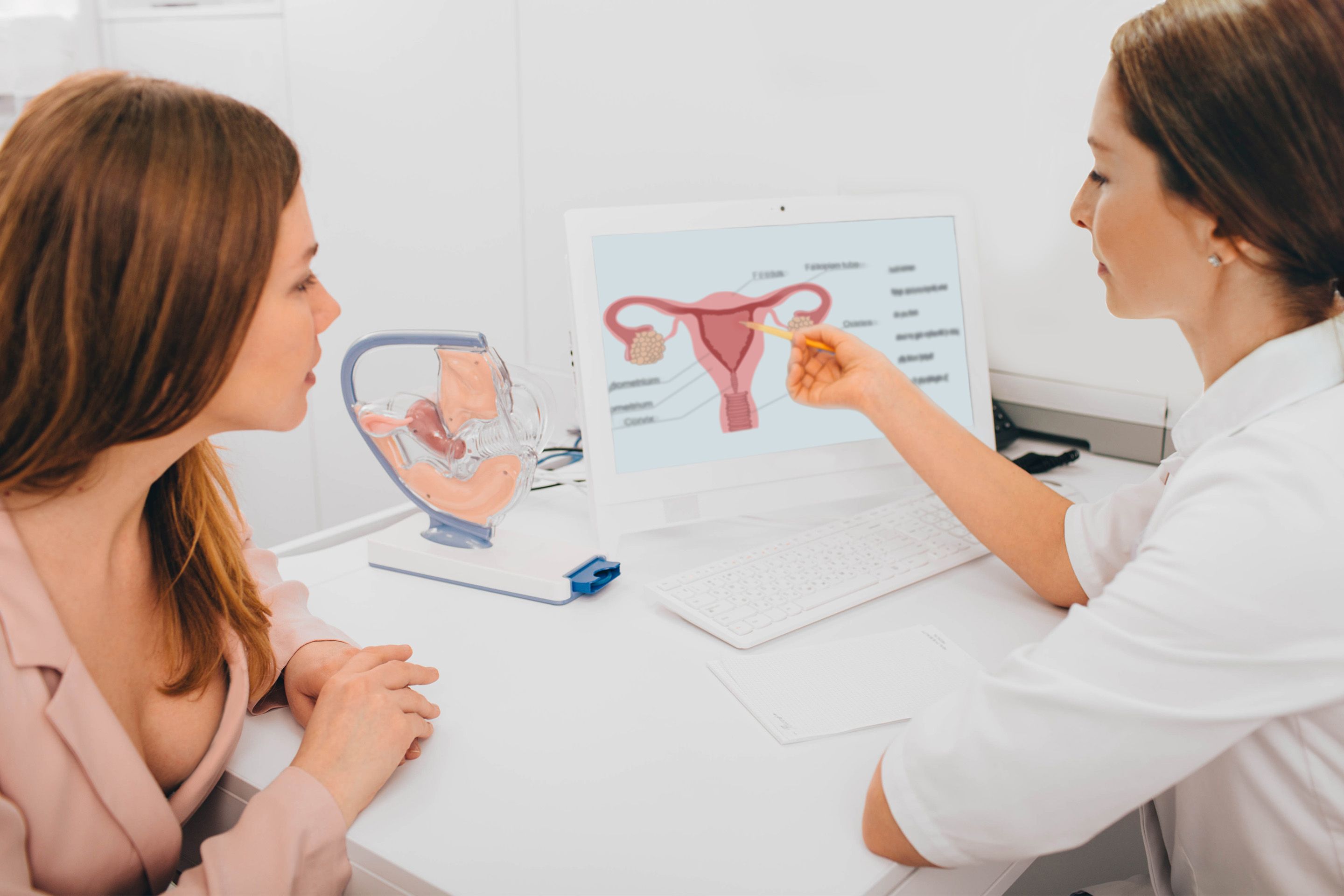 Ärztin erklärt Patientin Diagnose anhand eines Modells des Urogenitaltraktes