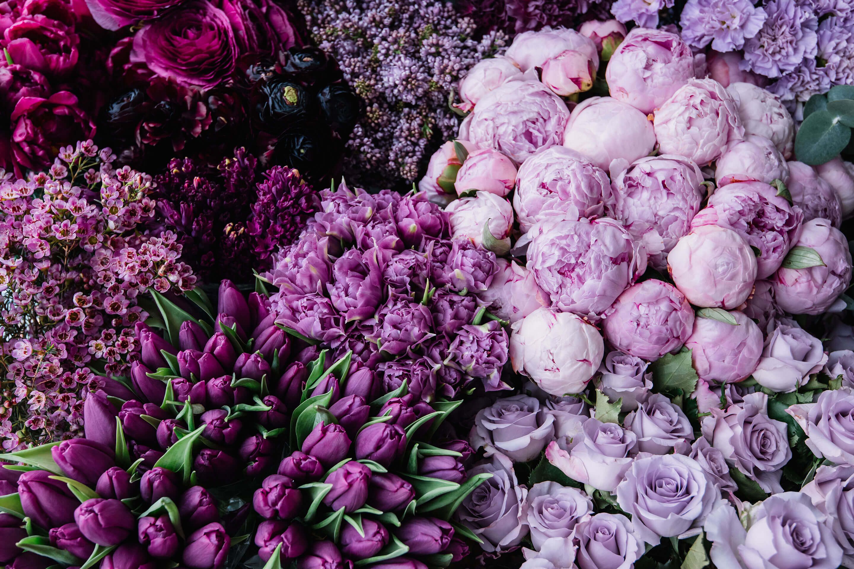 Various purple and pink flowers including tulips, roses, and peonies tightly arranged