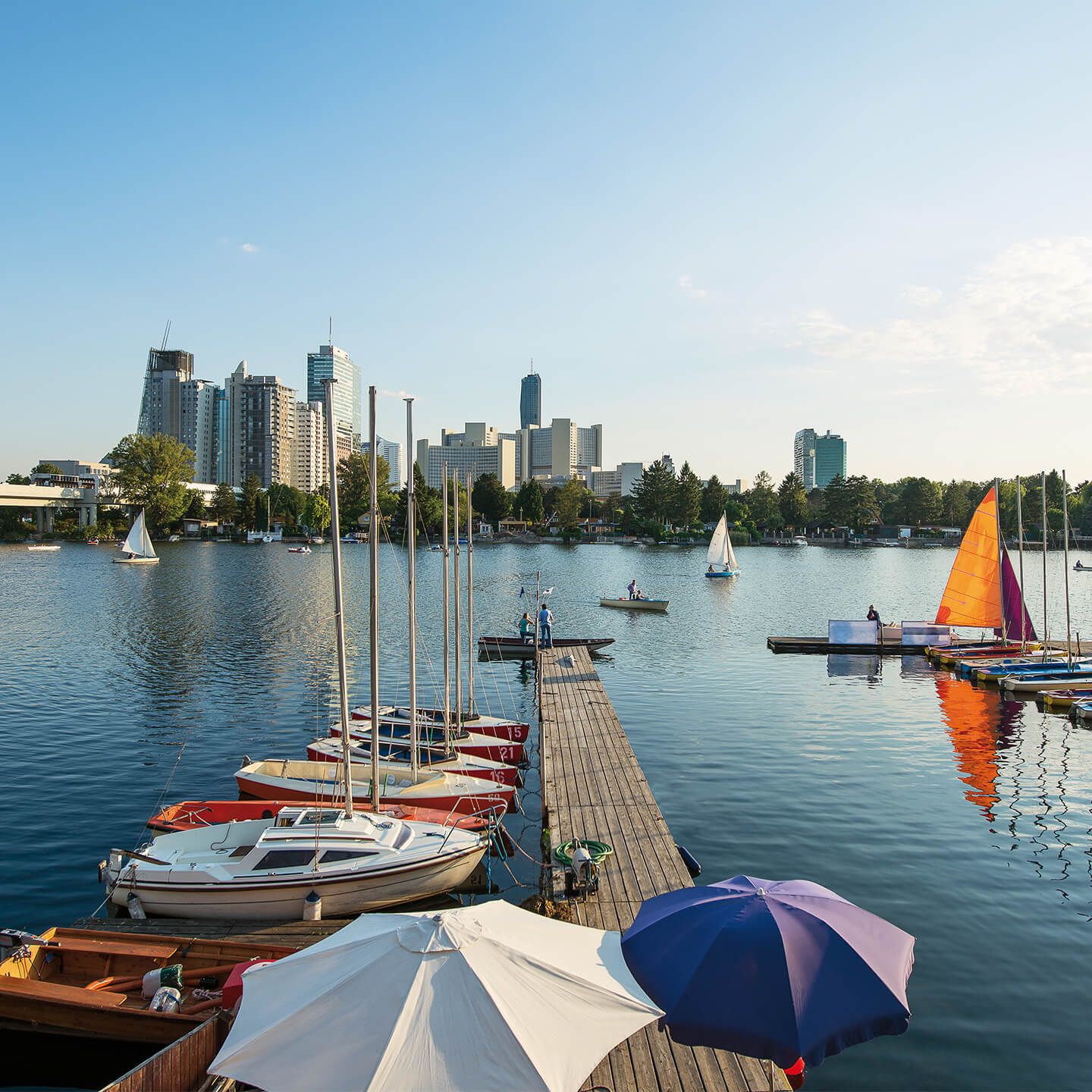 Segelboote am Steg auf einem See mit Stadtgebäude im Hintergrund bei klarem Himmel.