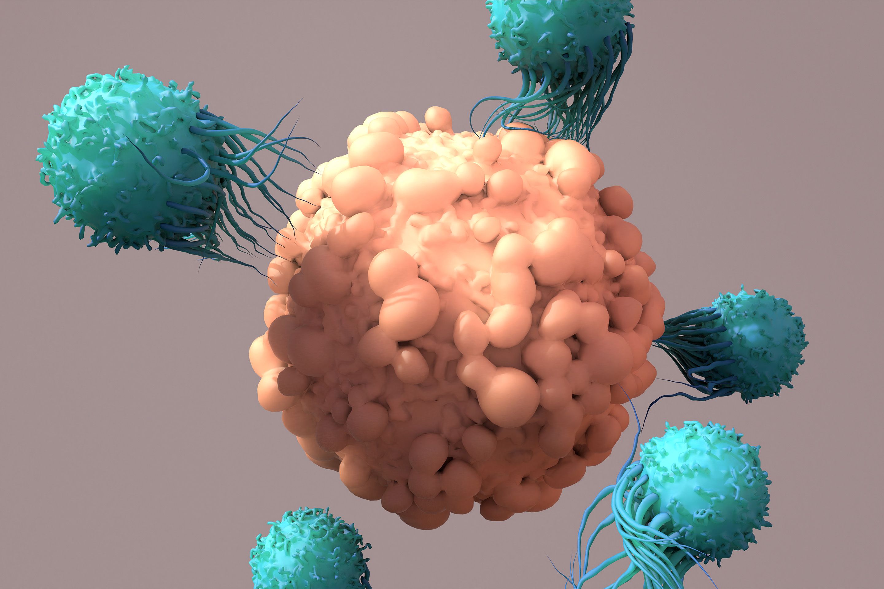 Immune Zellen greifen eine größere kugelförmige Zelle an, digitale Darstellung