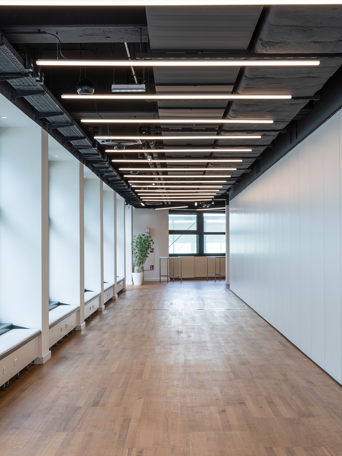 Empty modern hallway with wooden floor and linear ceiling lights
