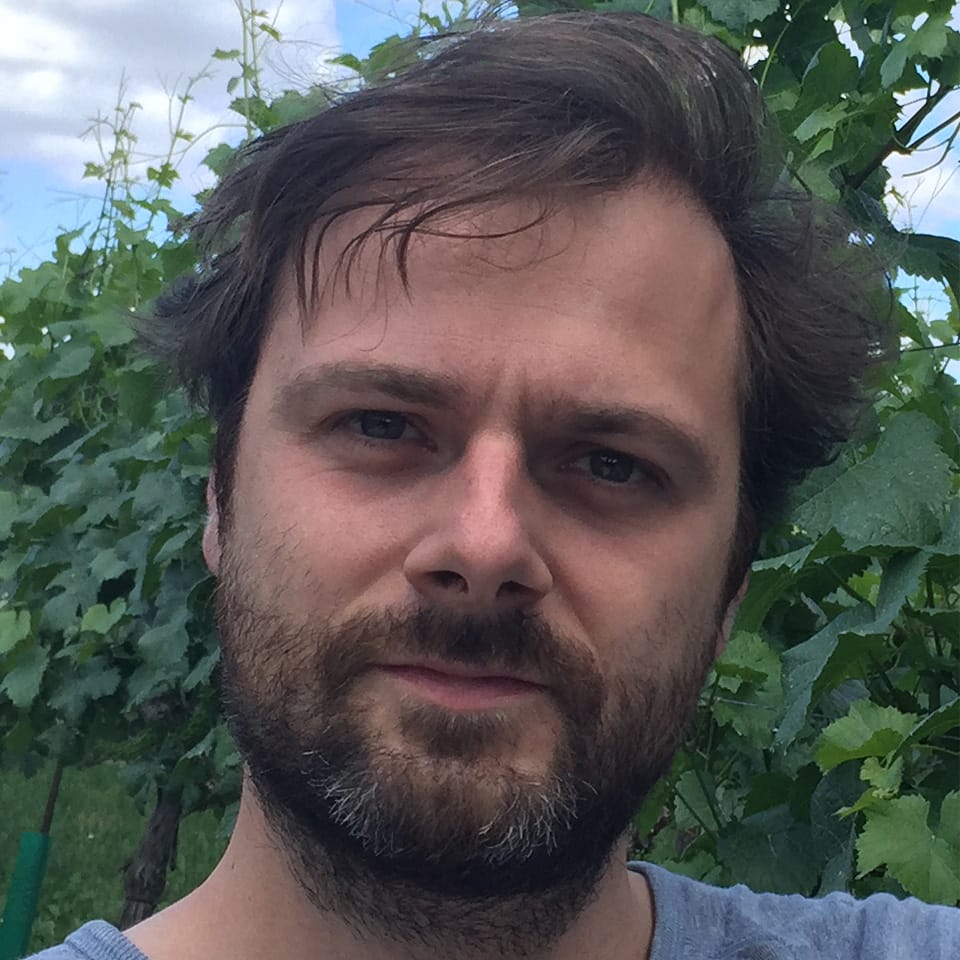 Person mit kurzem braunem Haar vor grünen Weinreben und blauem Himmel