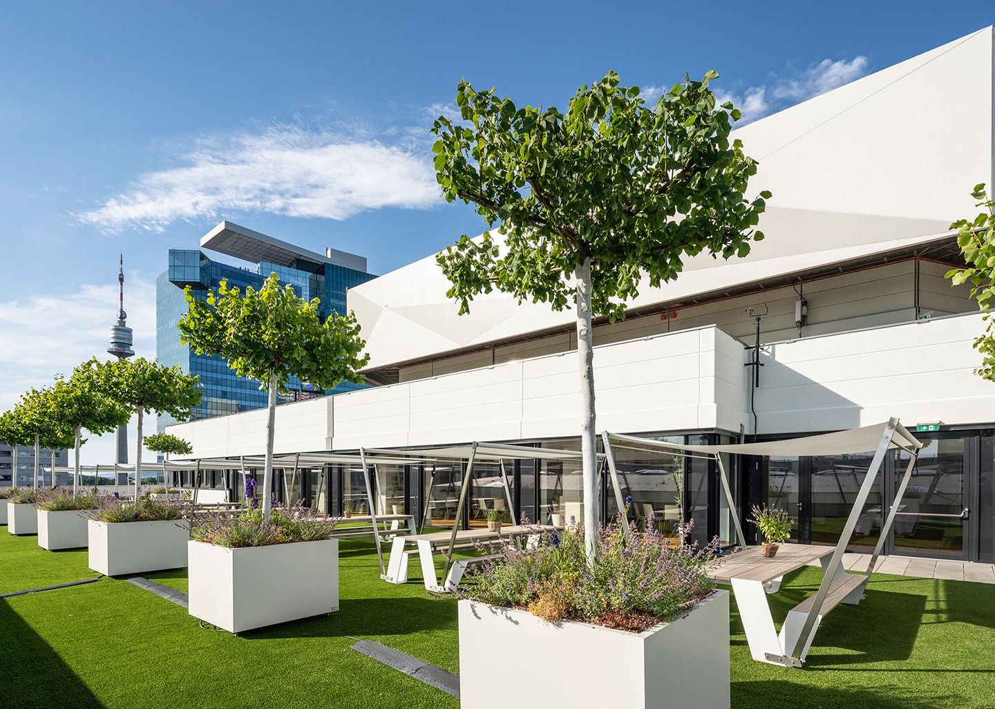 Moderne Terrasse mit Bänken, Bäumen in Pflanzkübeln und Hochhaus im Hintergrund