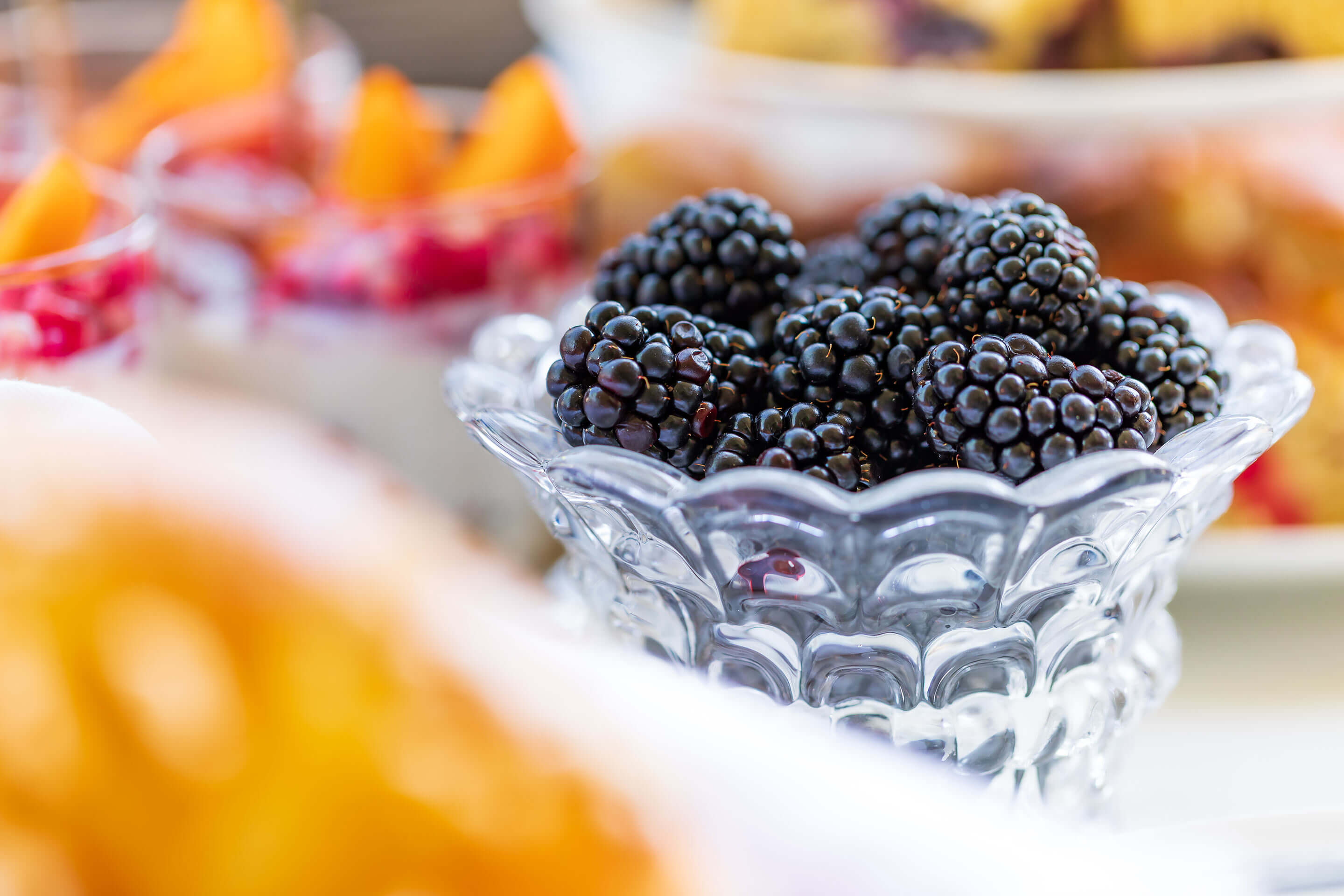 Foto: Motto Catering Beeren auf der Terrasse G, Ebene-2, des Austria Center Vienna