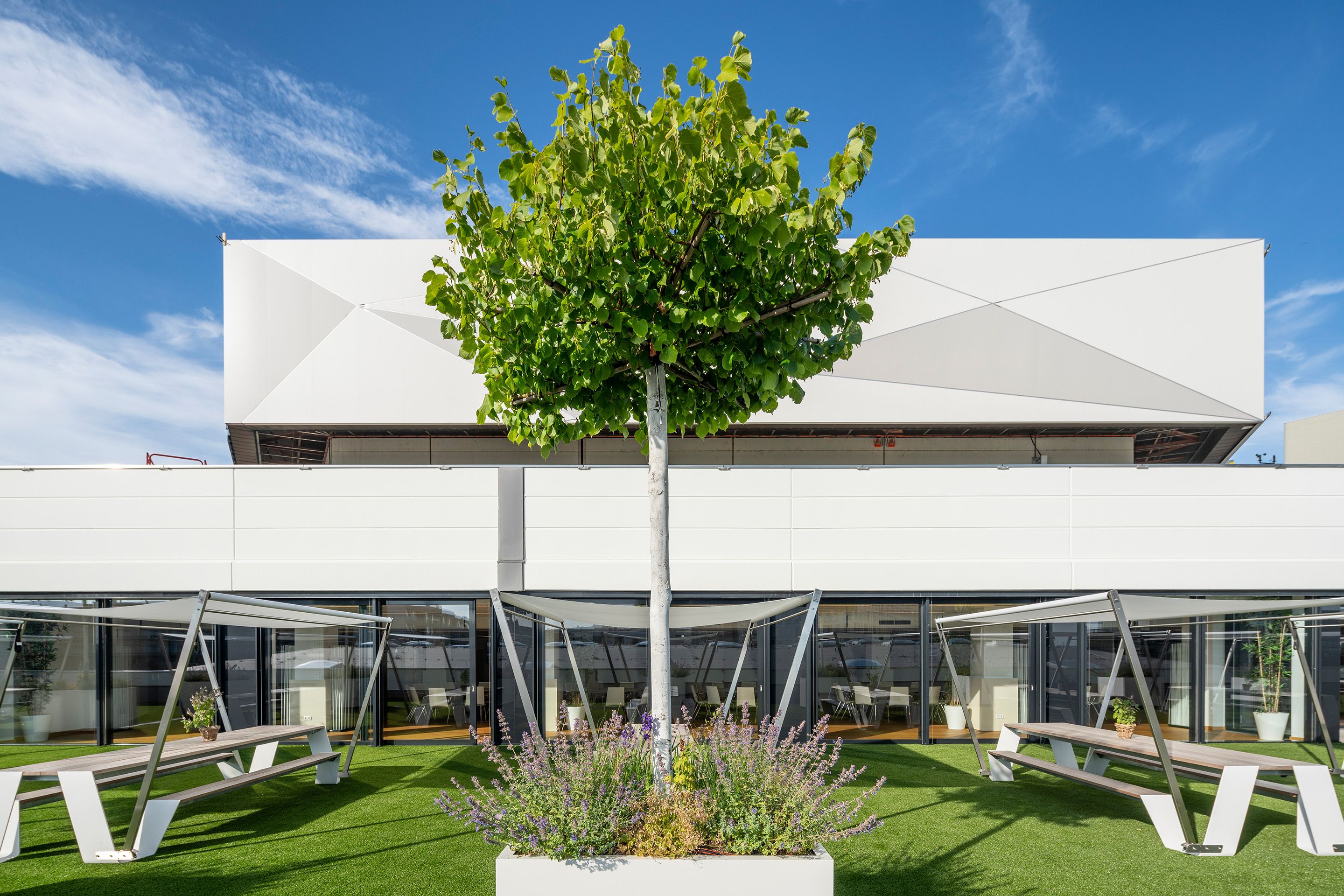 Foto: Begrünte Rooftop Terrasse im Austria Center Vienna