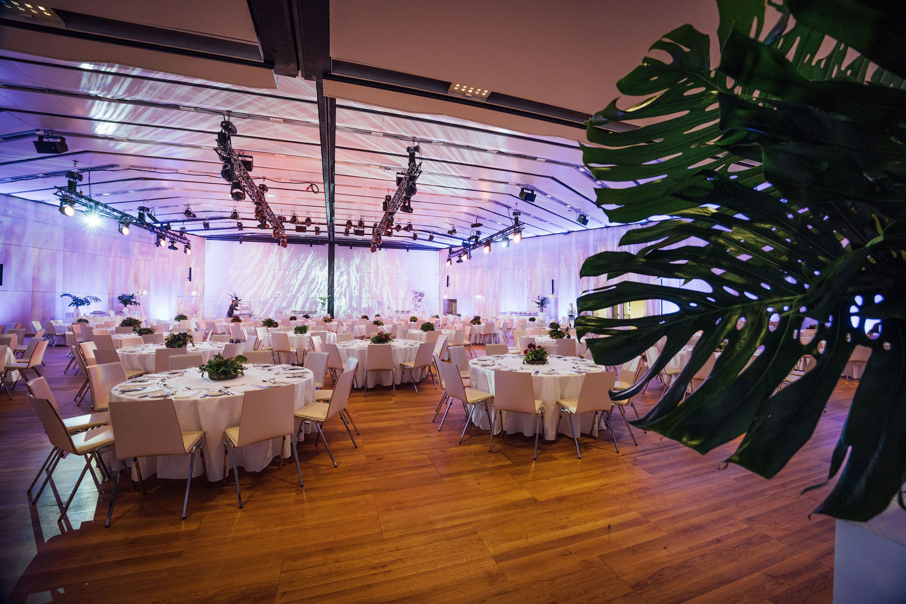 Foto: Runde Gala-Tische mit Stuehlen in einem Raum mit Holzboden, große Pflanze