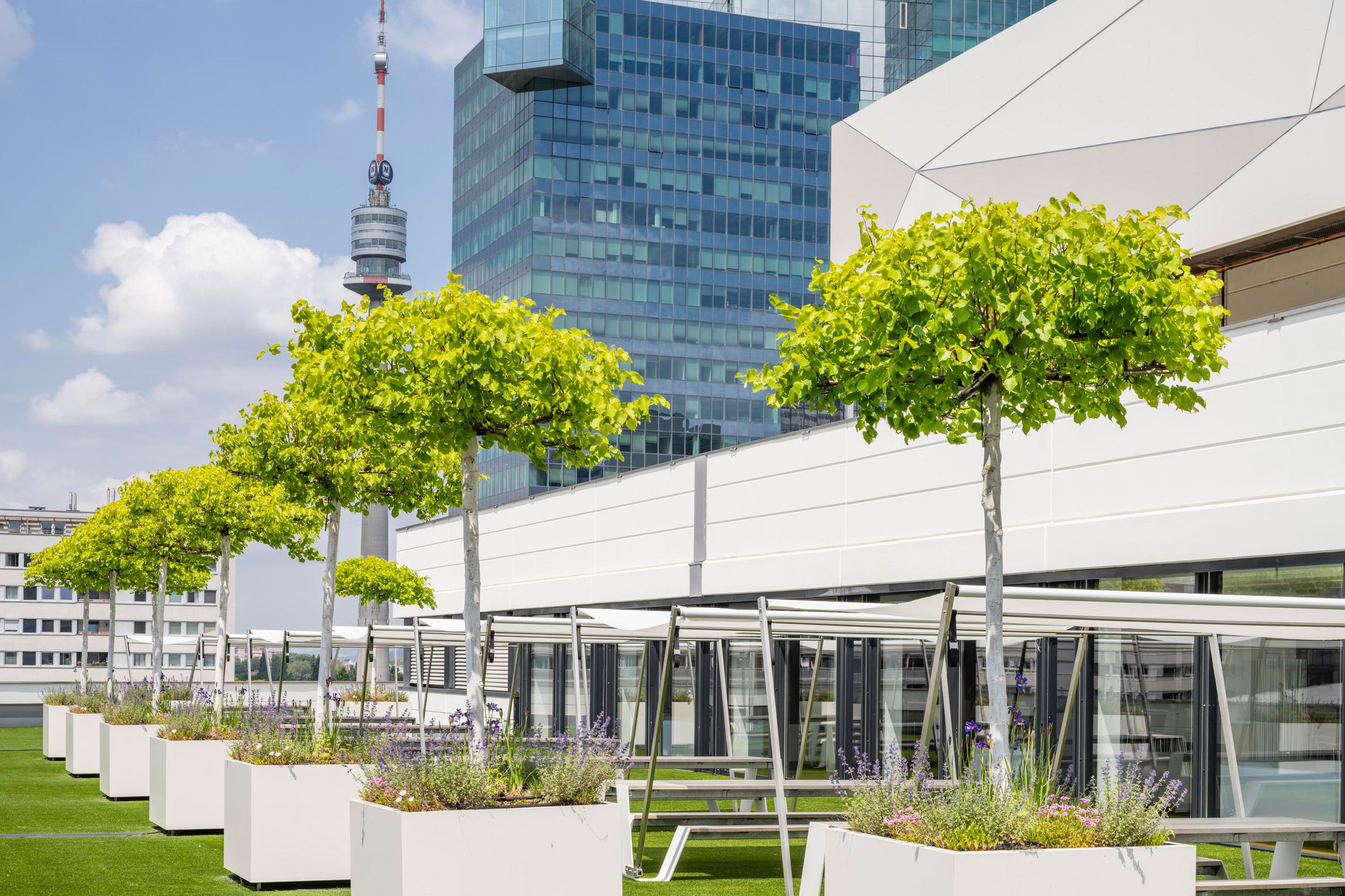 Foto: Terrasse mit weissem Gebaeude, Baeumen in Toepfen, Sonnensegeln und gruenem Teppich. Im Hintergrund ist ein Hochhaus.