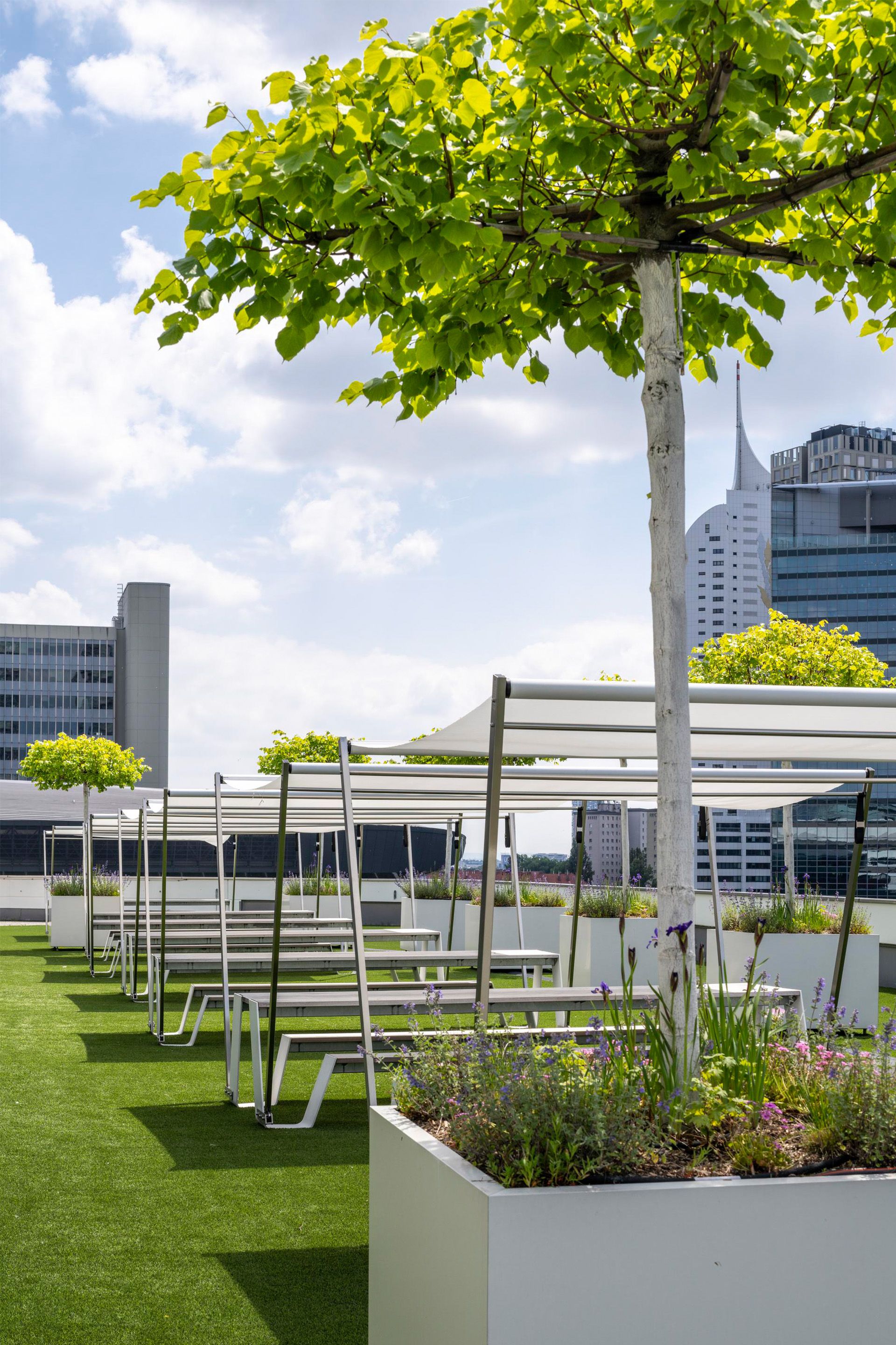 Foto: Terrasse mit weissem Gebaeude, Baeumen in Toepfen, Sonnensegeln und gruenem Teppich. Im Hintergrund ist ein Hochhaus.