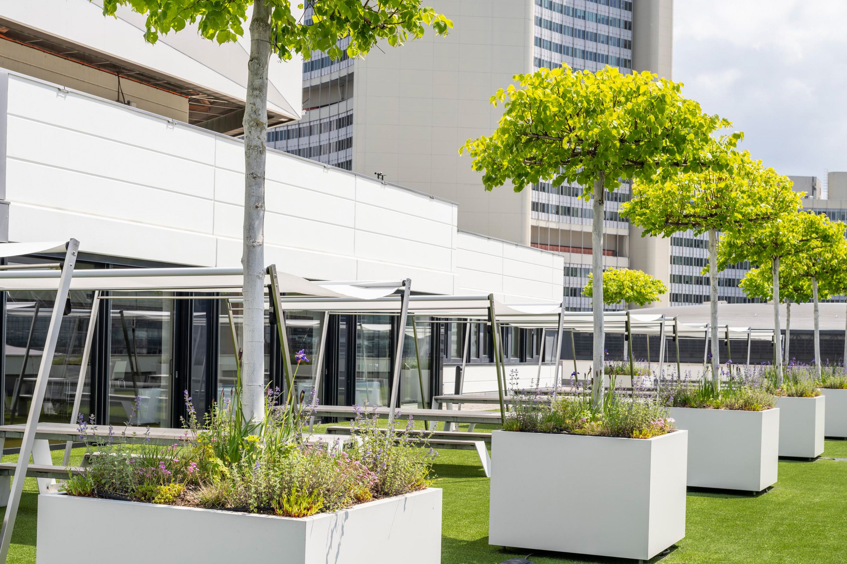 Foto: Terrasse mit weissem Gebaeude, Baeumen in Toepfen, Sonnensegeln und gruenem Teppich. Im Hintergrund ist ein Hochhaus.