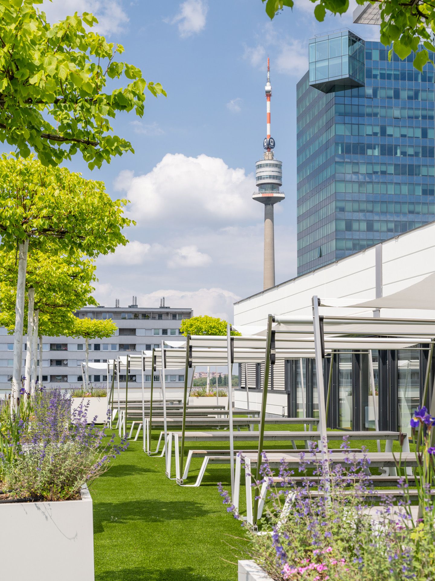 Foto: Terrasse mit weissem Gebaeude, Baeumen in Toepfen, Sonnensegeln und gruenem Teppich. Im Hintergrund ist ein Hochhaus.