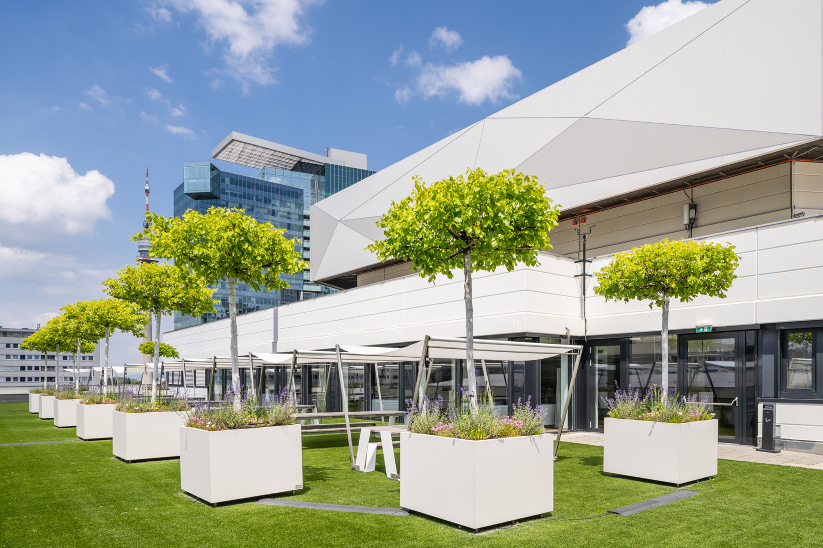 Foto: Terrasse mit weissem Gebaeude, Baeumen in Toepfen, Sonnensegeln und gruenem Teppich. Im Hintergrund ist ein Hochhaus.