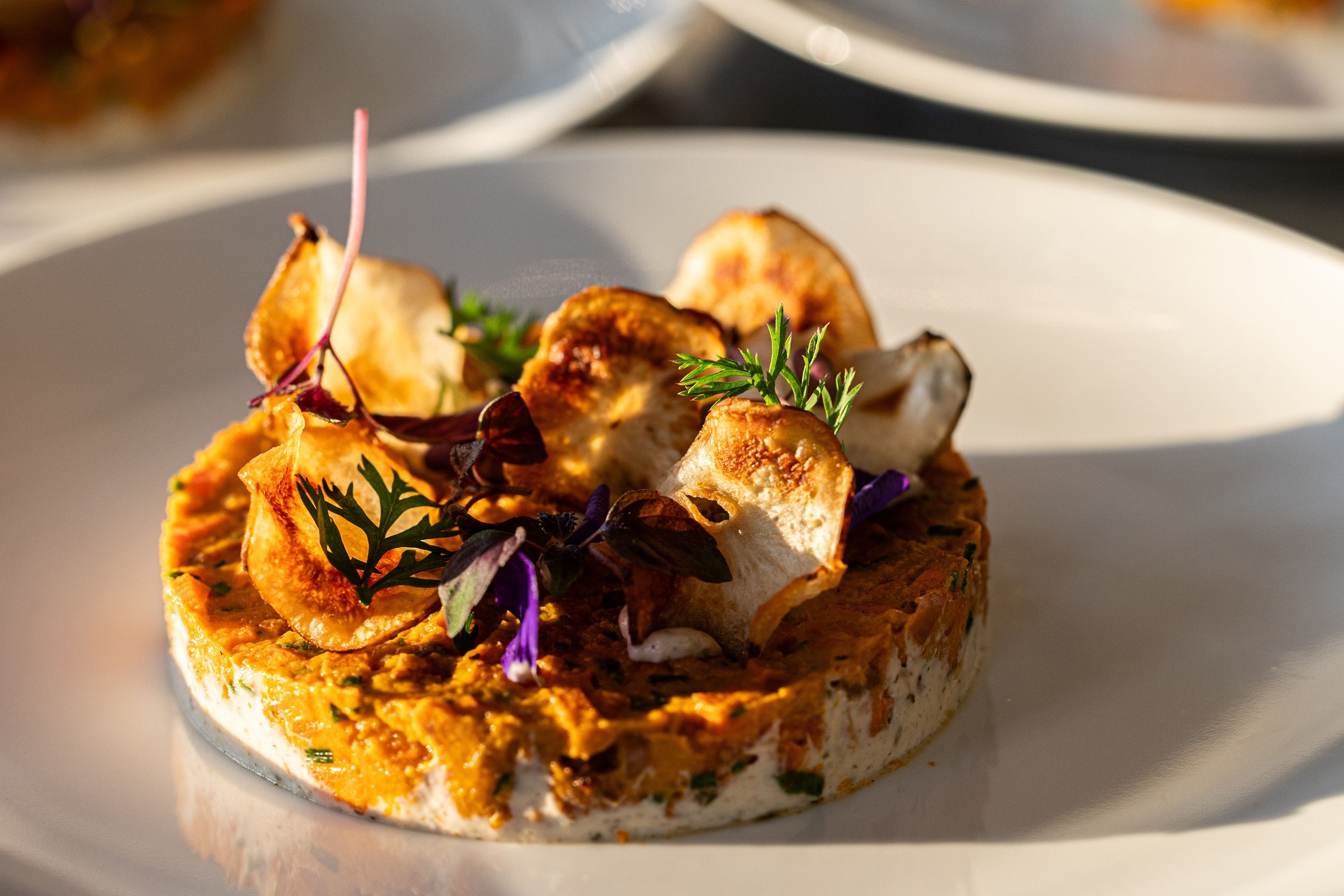 Pastete mit gebratenen Pastinaken auf einem Teller serviert von MOTTO Catering.