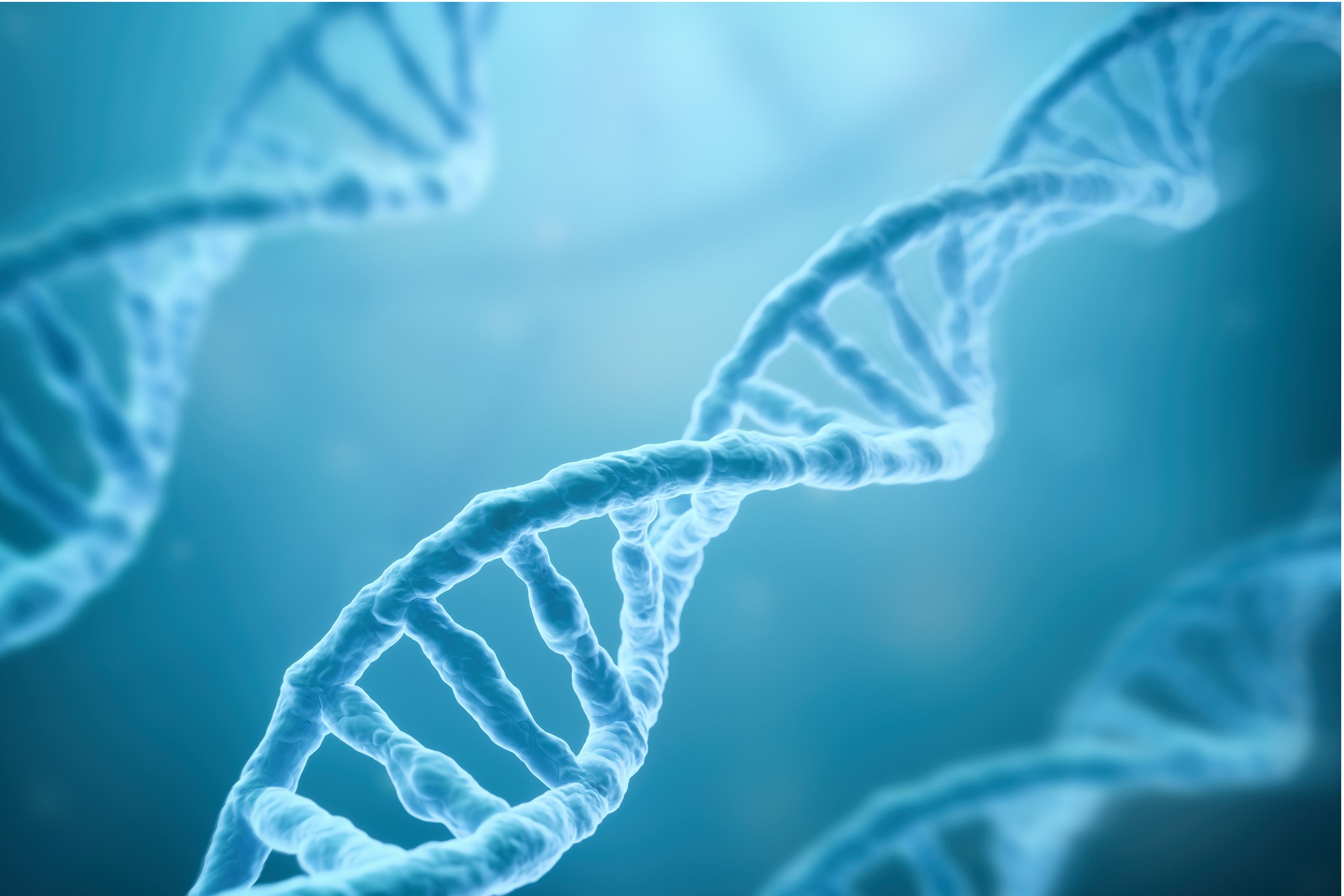DNA-Stränge