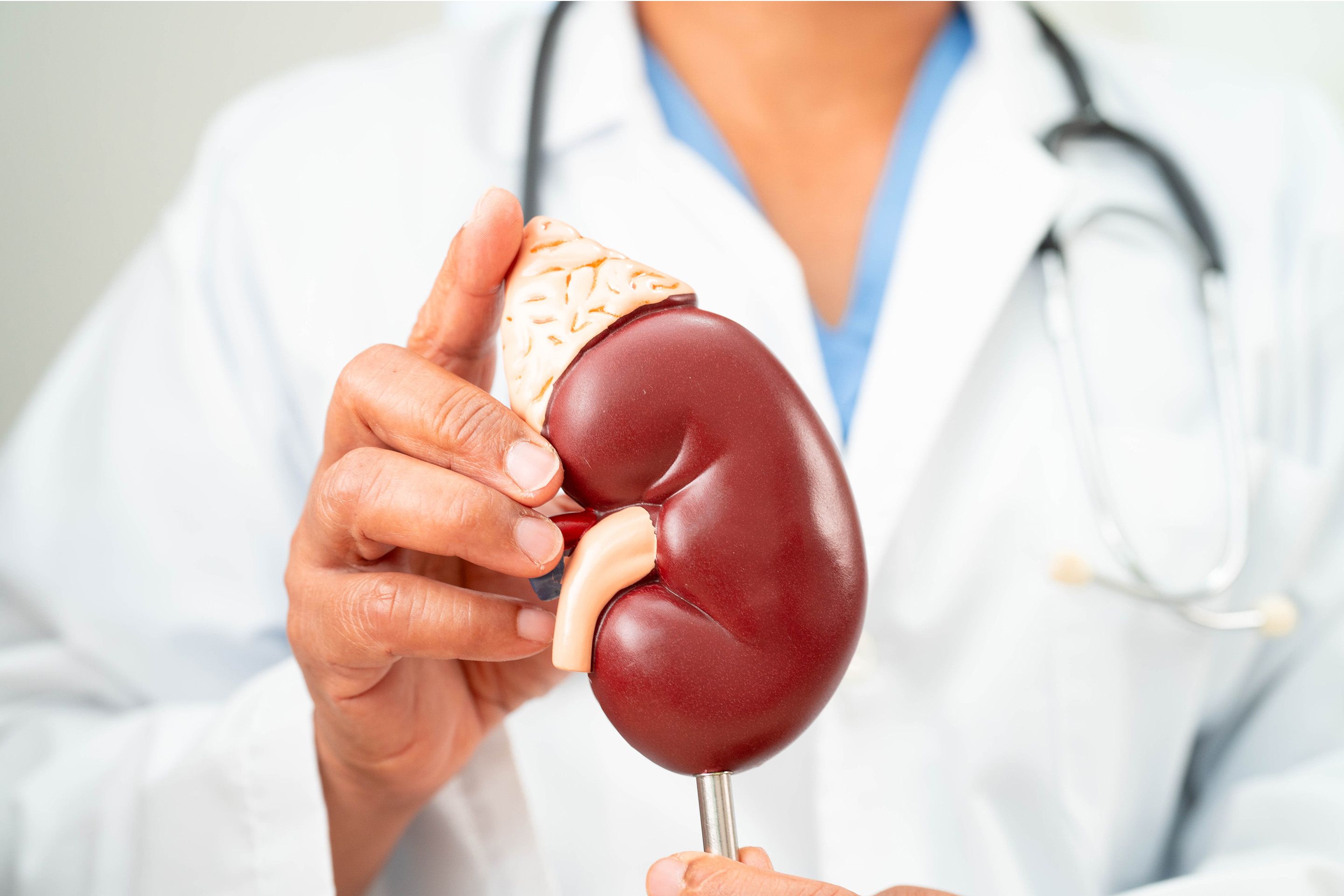  Heart Liver And Kidney: କେଉଁ ରୋଗ ଏକାଧିକ ଅଙ୍ଗକୁ କ୍ଷତି ପହଞ୍ଚାଇପାରେ?